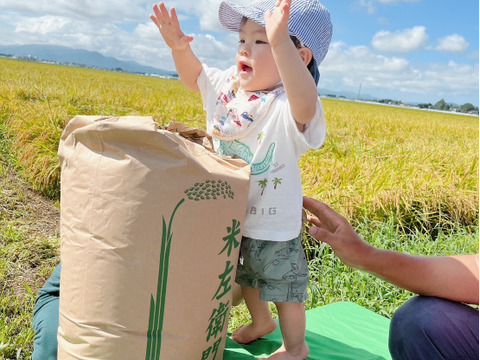 予約開始！！　令和7年新米　もちもち食感冷えても美味しい！庄内米つや姫精米27キロ