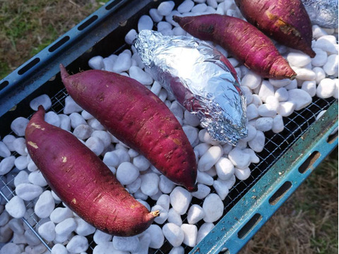 🌟朝ドラで話題の糸島野菜🌟栽培期間中、農薬・化学肥料・除草剤不使用❕1ヶ月熟成してからお届け❕ねっとり甘～い紅はるか（３キロ）※熨斗対応有※
