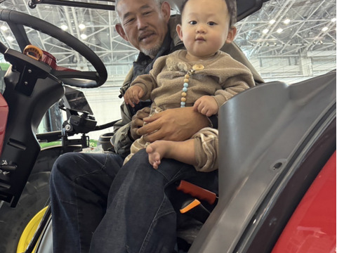 岐阜のお米！ ハツシモ 1等米 白米20Kg(令和7年産) ヘルシー米