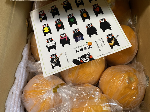 早い者勝ちお試し2k不知火デコ柑