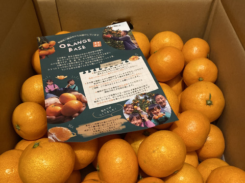 【もう1個だけの無限ループ！】暁みかん5kg（小玉サイズ）【冬ギフト】【愛媛県産】