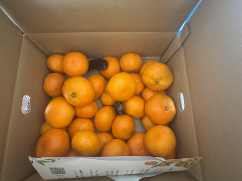 【食べチョクで１番売れてるみかんです！】夕やけみかん（5㎏）（圧倒的人気のみかんです！）