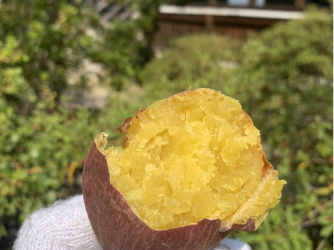 セール中！【新芋】シルクスイート　丸Sサイズ　5kg さつまいも