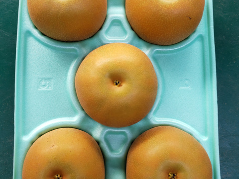 【ご家庭用品】梨 あきづき 3Kg箱 5玉~9玉 _2024