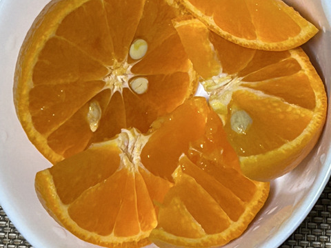 南津海　「なつみ」　約1.8kg 　ご家庭用