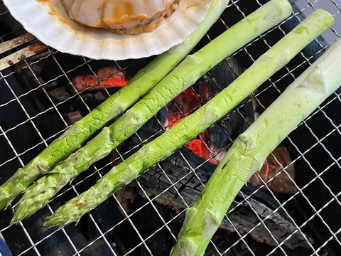 【おまけ付き】お肉や海鮮BBQに♪北海道産 夏採りアスパラL・Mサイズ700g