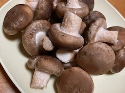 【ベビー椎茸2ｋｇ】プリプリ食感が癖になる❣