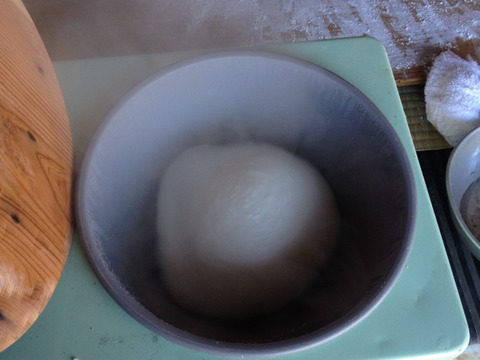 もち米（５Kg）阿蘇山から湧き出る美味しい水で育てた餅米