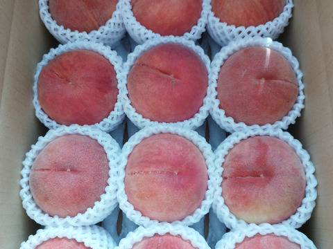 🍑 幻の極早生桃「ひめまるこ」― 桃シーズンの最初の一口を、あなたに。
約2kg　１２玉前後