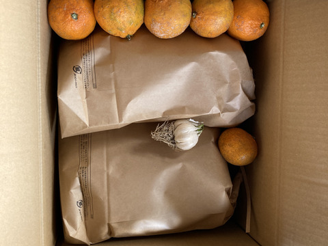 天日干し　ヒノヒカリ　新米10kg