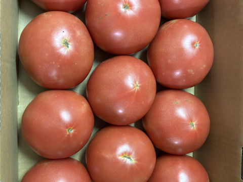 (Sｾｯﾄ）夏の贅沢！清涼感あふれる王道トマト2kg