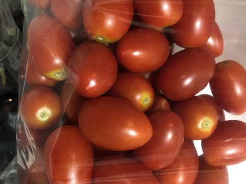 農薬不使用 赤紫蘇1キロ＋季節の採れたて夏野菜詰め合わせセットでお届けいたします。