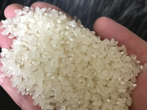 令和4年　新米　新潟産植酸栽培米　コシヒカリ 5kg