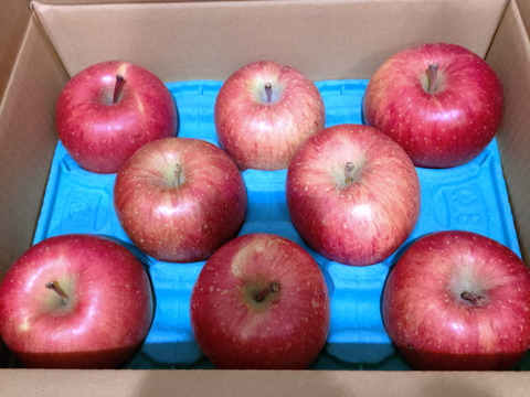 【毎年１万箱以上売れてます】約３キロ 青森県産りんご「樹上完熟葉とらずふじ」家庭用厳選品