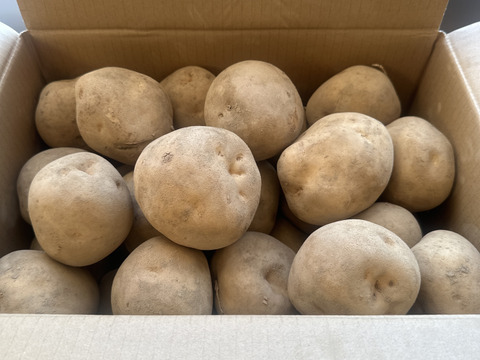 北海道産　じゃがいも(キタカムイ) 10kg規格外品 3L〜4Lサイズ