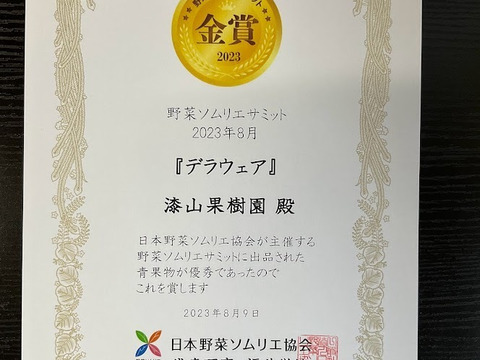 2箱【朝どれ】【贈答用】にも！！クール便発送★山形県産完熟ぶどう種なしデラウェア5房前後