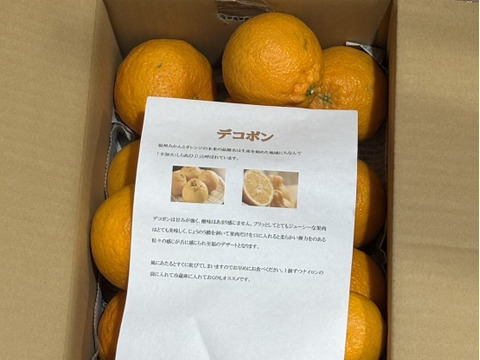 味に自信あり】□3k箱□愛媛の不知火□家庭用□除草剤使用無 万田酵素