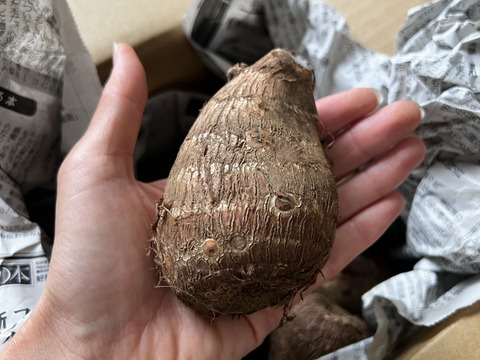 ⚠️数量限定⚠️『黒いダイヤ』高級料亭で出される里芋の味をご家庭で！生産量トップクラスの所沢から送る絶品里芋！芽なしという訳ありですが、農家のみぞ知る絶品です。 3kg（18〜24個入り）