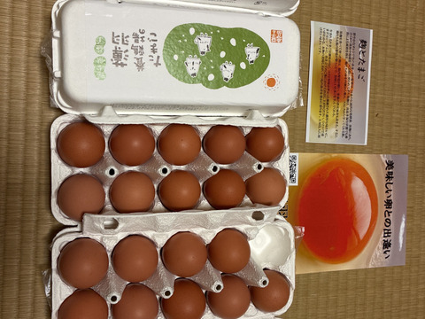 【黒麴・40個】オレンジ色が鮮やか🎵濃厚な黄身🍳、黒麹育ちの赤たまご40個