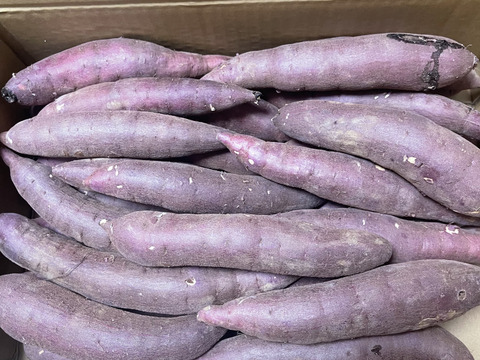 ねっとり甘い！熟成紅はるか　Sサイズ　5kg さつまいも