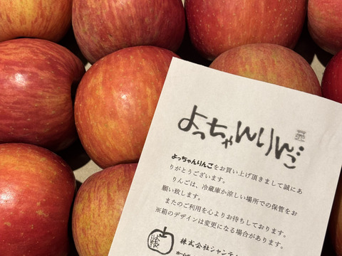 【極小玉・バラ詰め】毎日りんご!! サンふじ🍎家庭用 約5Kg🍎コスパ抜群　青森県産　数量限定　ポケットりんご
