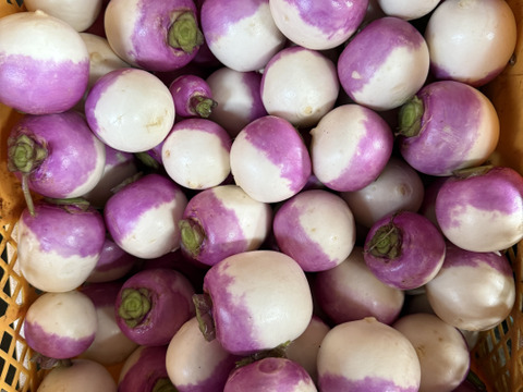 旨みがタップリ！冬に欲しくなる野菜5種！ほうれん草、人参など！