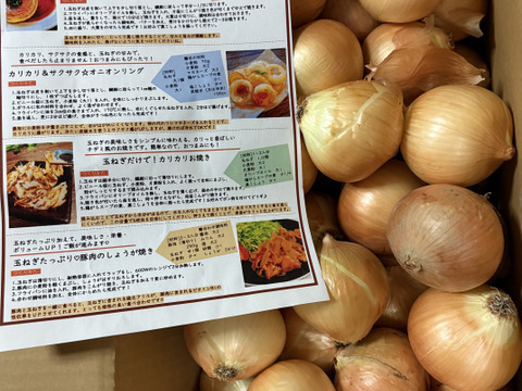 【玉ねぎの王様ターザン】 淡路島玉ねぎ「いくたま」（10kg）