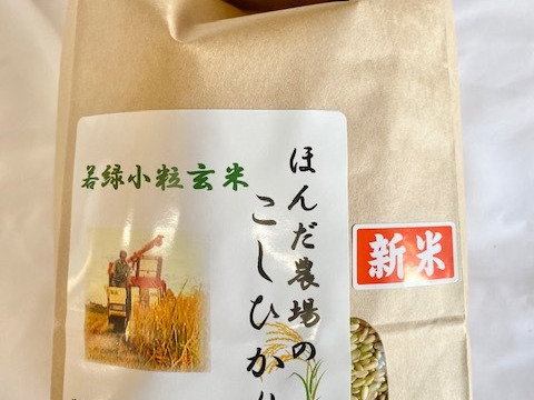 若玄米 緑玄米 令和5年産 コシヒカリ 2kg