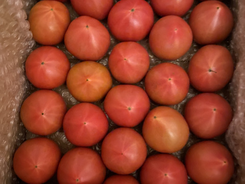 昔ながらのトマト🍅80サイズ箱詰め(3S以下玉)