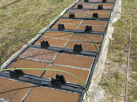 奈良県五條市産／柿名産地　ひとめぼれ米🌾