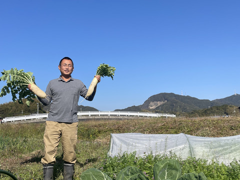 〜南国土佐旬便り〜あったかい太陽の恵みたっぷり冬の野菜セット【5-7品目】