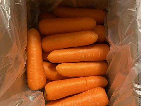 ありがとうございました✨皮ごと食べれる❗️あま〜いさんぶにんじん🥕（約5キロ）