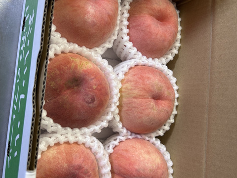 【お届けは8月中旬～】おどろき(おうち用)「驚きの硬さ!!」1.5kg(4～9玉)