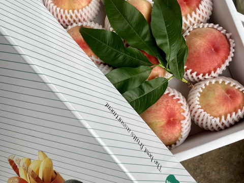 初秋の桃(黄金桃の夕月、白桃系の玉うさぎ）！
タイミングが合えばネクタリン（ファンタジア）が入るかも