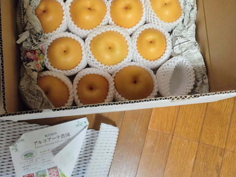 樹上完熟和梨「豊水」5kg【直送便】
