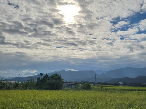 令和7年！農薬不使用！新米ヒノヒカリ
5㎏