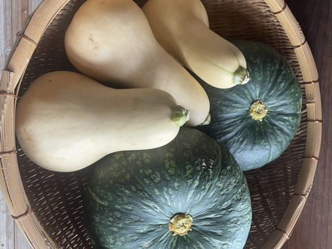 【夏ギフト】栗かぼちゃとバターナッツの詰め合わせ