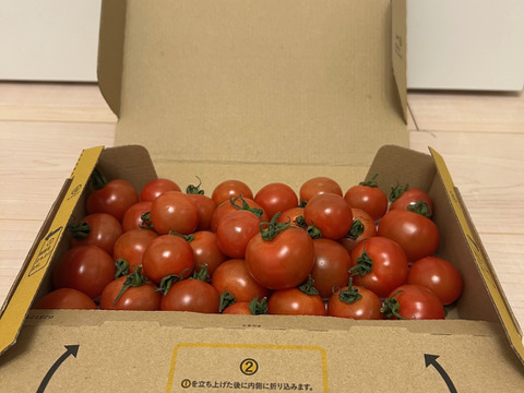 宮城県石巻産フルティカ★ミディトマト1kg