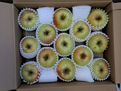 【販売開始！】青森県産りんご「ぐんま名月」家庭用 キズ有 約5kg 【光センサー選果・高リピート率】