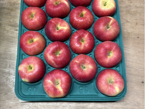 特別栽培!! 生産量の少ない希少りんご「華宝」Ａ品・5㎏