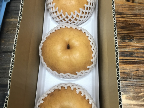 糖度ピークです‼️【大きさにも美味しさにもびっくり‼️】新高梨(2-4個入)贈答用約2.5kg✨️コロコロ梨工房の自信作‼️甘くてとってもフルーティー✨️鮮度を保つ為クール便で発送します🚚