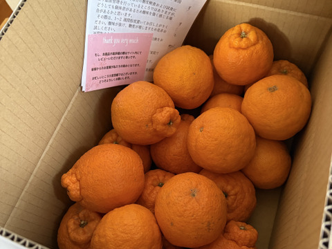 【母の日ギフト】デコポン発祥地から不知火５kg（家庭用）〜雑誌「MORE」に掲載されました〜