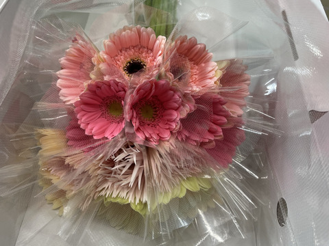 【限定商品】ガーベラ⭐︎ピンク⭐︎ミックス20本