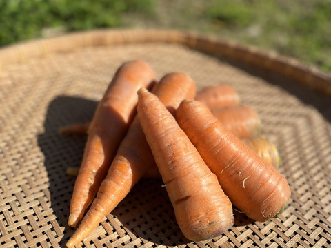 【自然栽培】徳島県産 手しごとの自然な甘みニンジン(4kg)