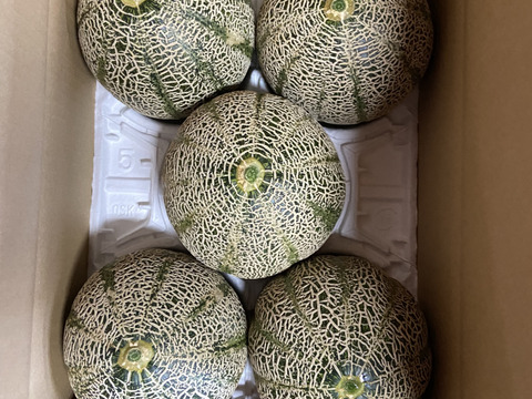 甘さ抜群！驚きの美味しさ！極上『高級アムスメロン』1kg×5個