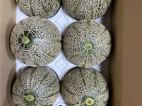 甘さ抜群！驚きの美味しさ！極上『高級アムスメロン』900g以上×6個