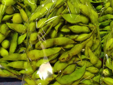 【数量限定訳あり】兵庫県産丹波ささやま本黒枝豆　さや１ｋｇ