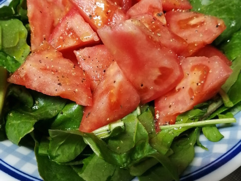 毎食トマト！  爽やか夏のトマト　大きめ3キロ入り