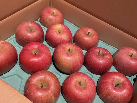 【販売中！人気商品】青森県産りんご「サンふじ」家庭用 キズ有 約5kg【美味・光センサー選果済】