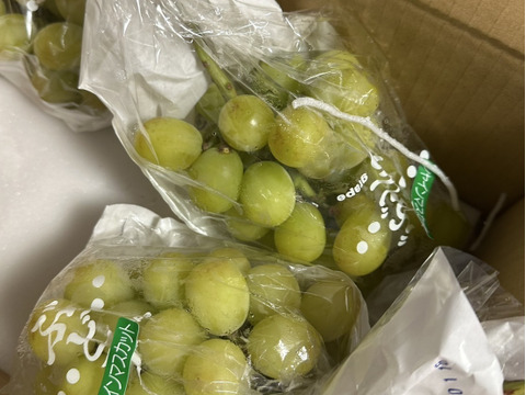 【人気No.1】#勝沼ぶどう郷産 パリッと食べられる『シャインマスカット』2kg前後（3~4房）